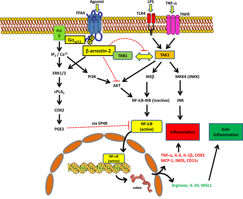 Figure 3: