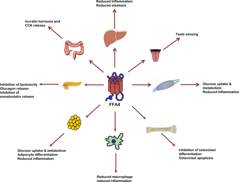 Figure 2: