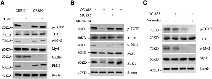 Figure 5