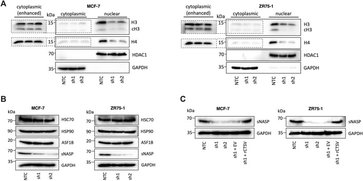 FIGURE 3