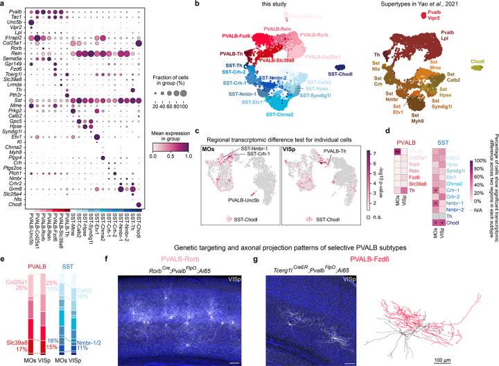 Extended Data Fig. 1