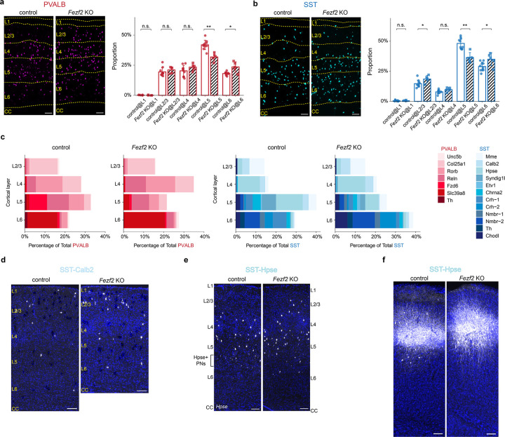 Extended Data Fig. 6