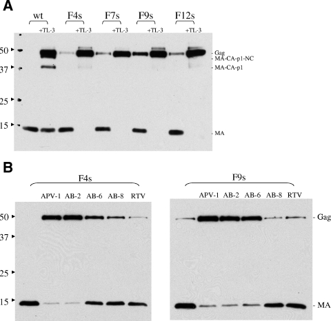 FIG. 6.