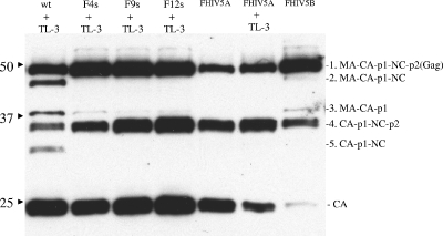 FIG. 9.