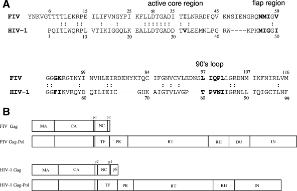 FIG. 1.