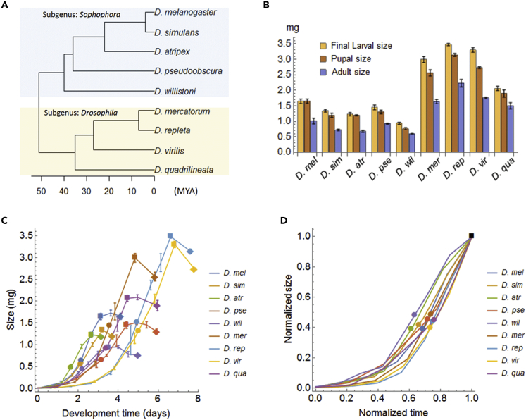 Figure 3