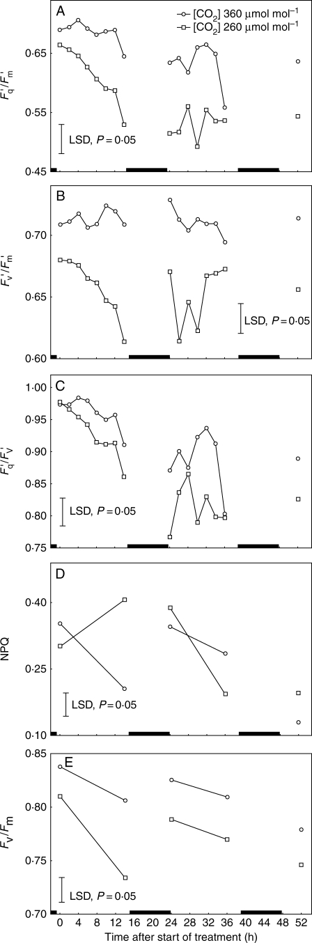 Fig. 5.