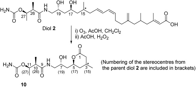 Scheme 3