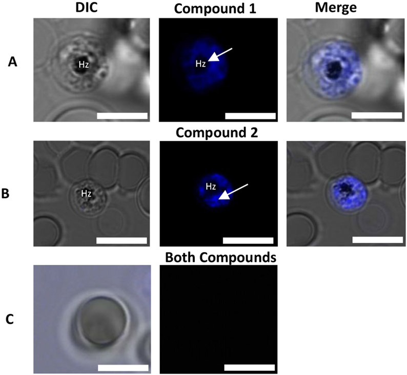 Figure 6: