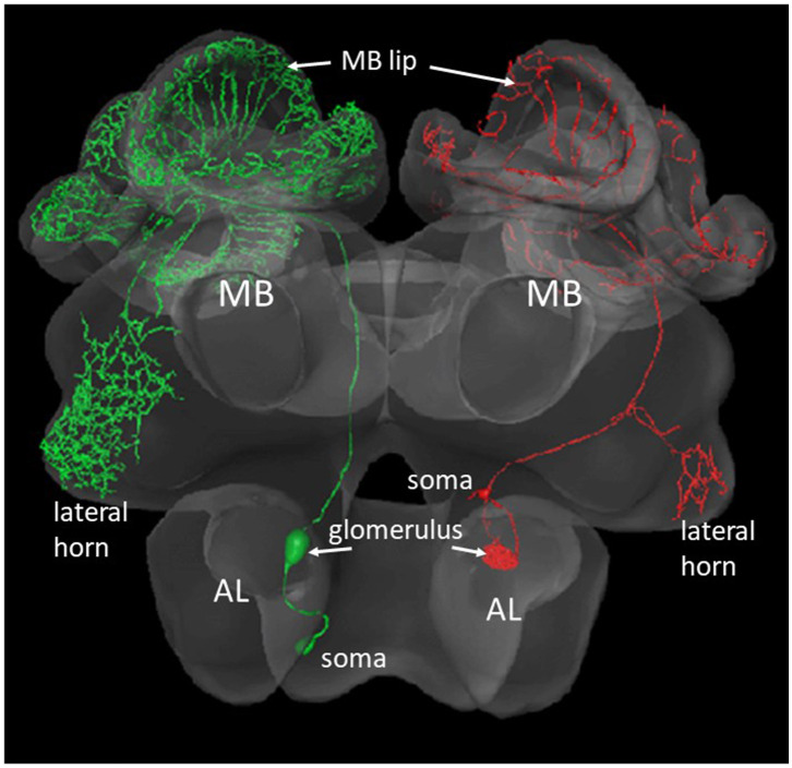 Figure 2