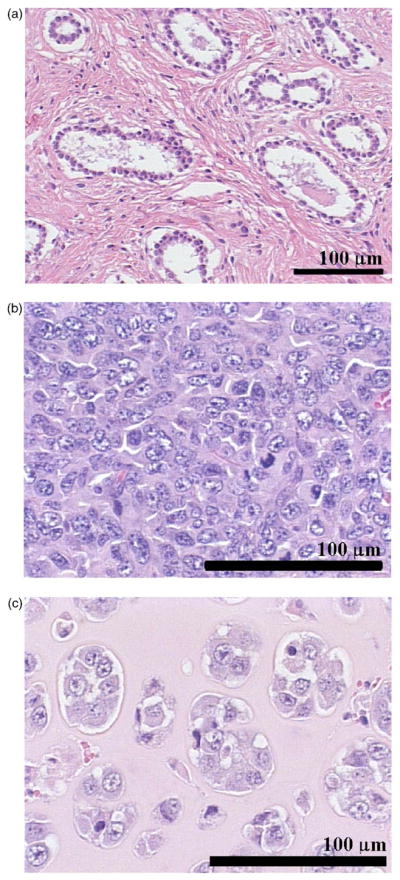 FIG. 6