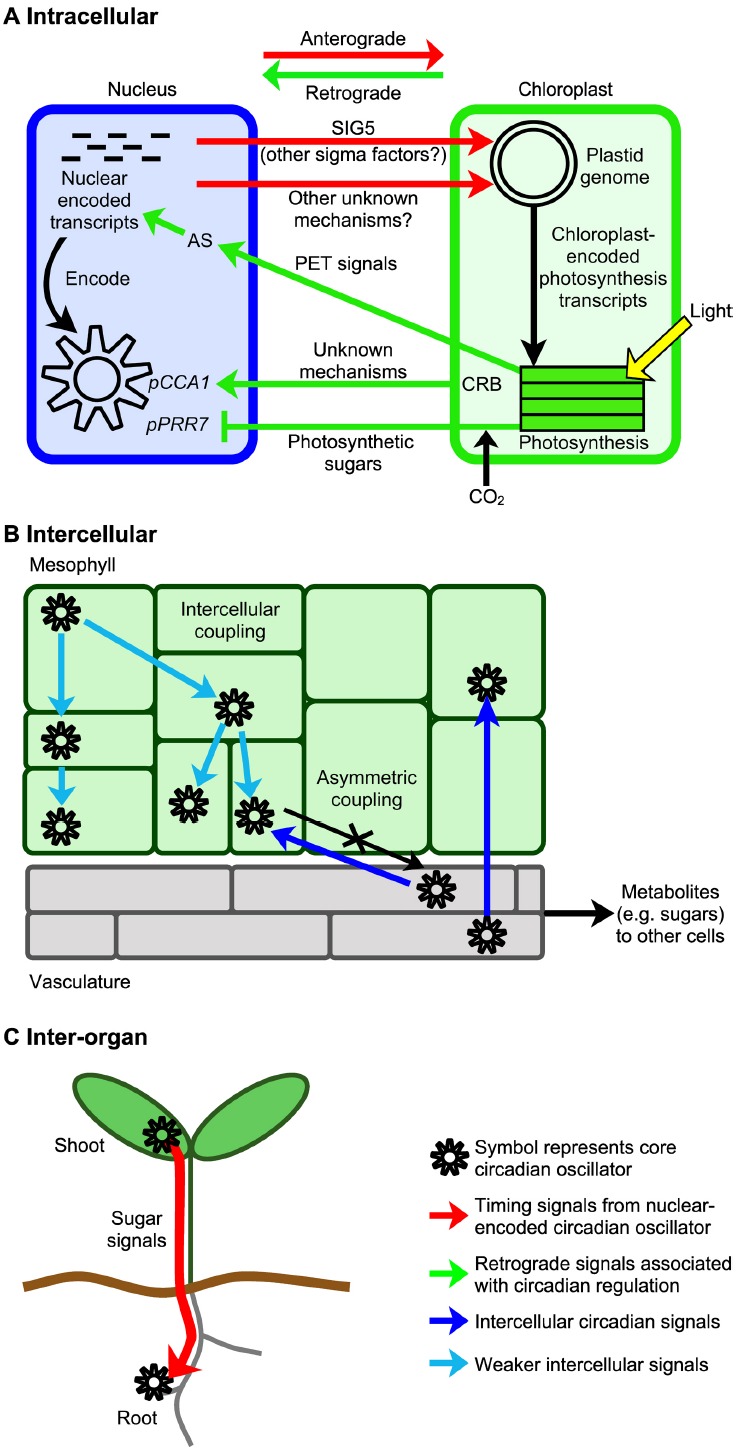 FIGURE 2