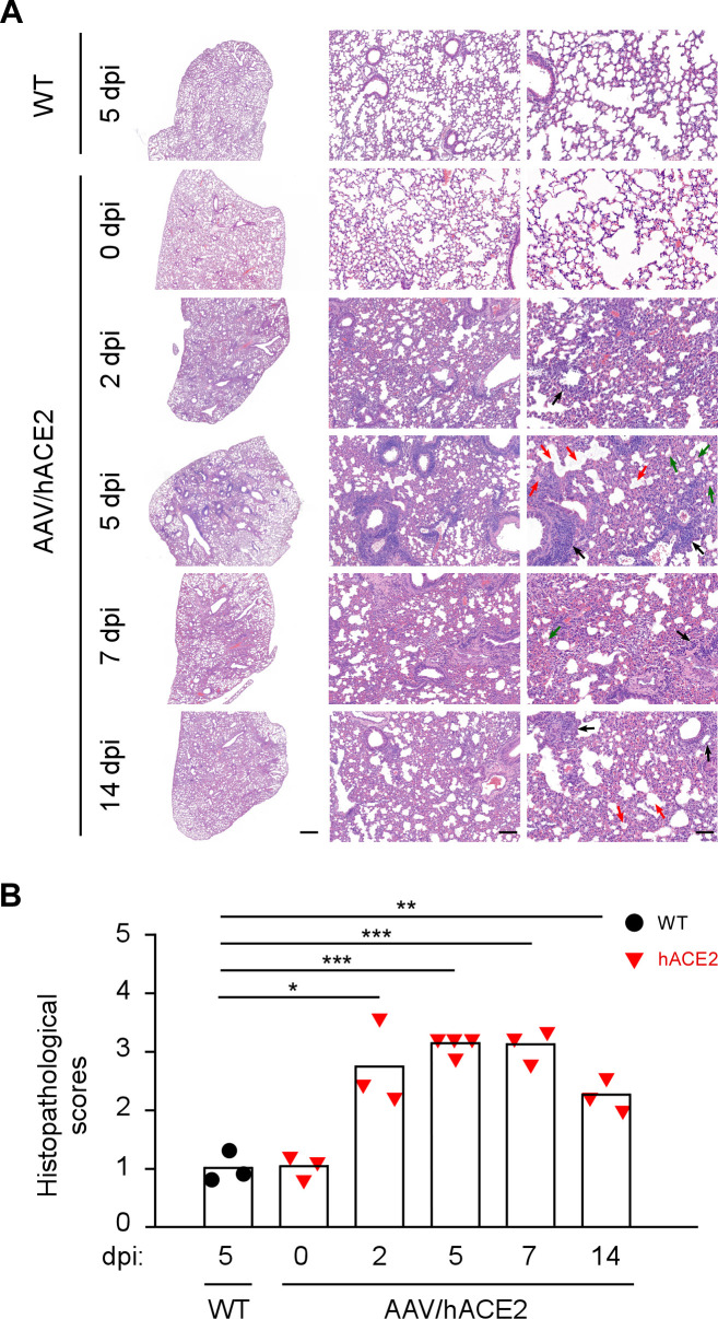 Fig 4