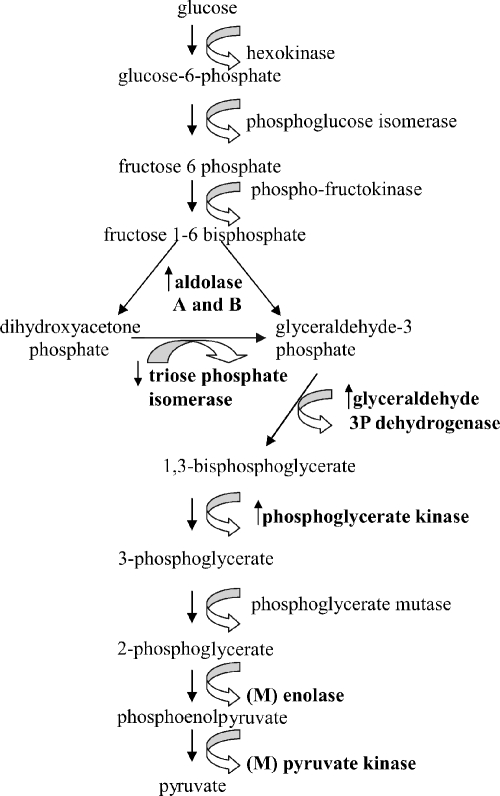 FIG. 5.