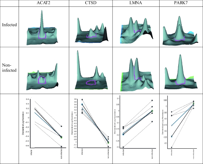 FIG. 2.