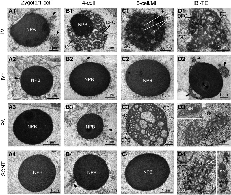 FIG. 4.