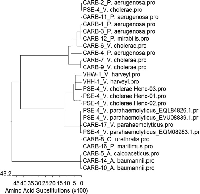 FIG 1