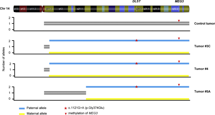 Figure 2