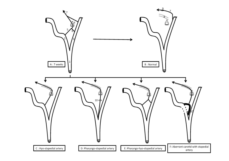 Figure 5. a–f