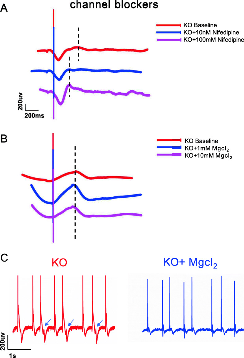 Fig. 6