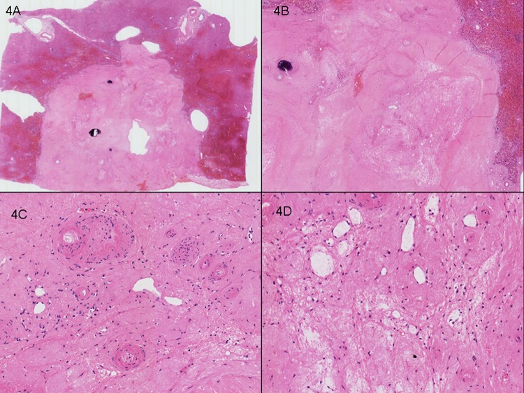 Figure 4