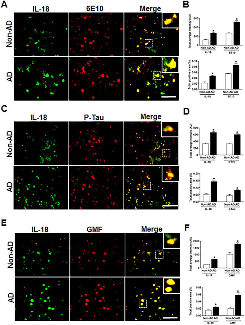 Fig 6