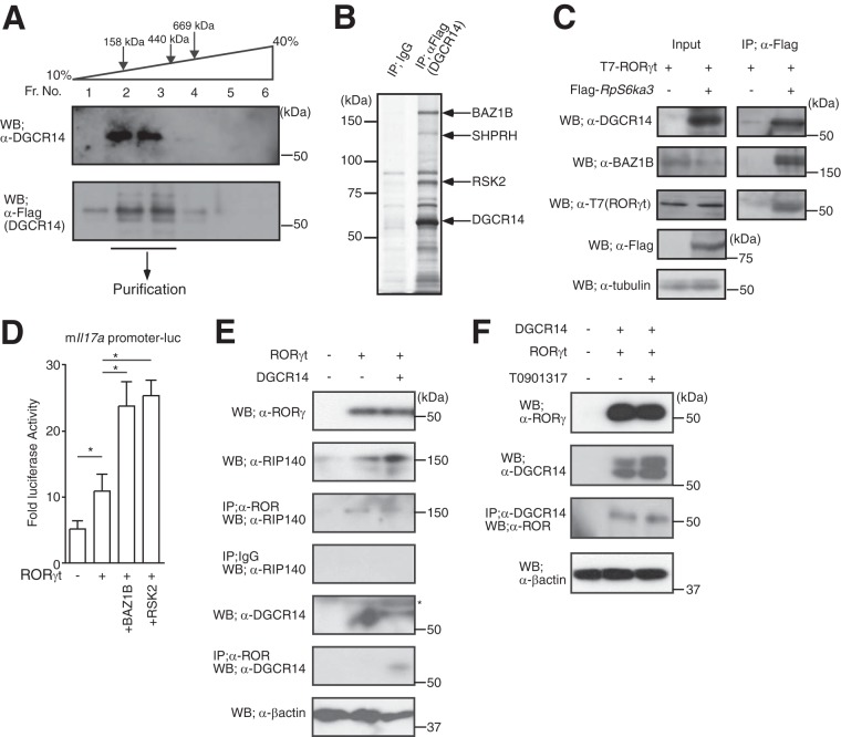 FIG 4