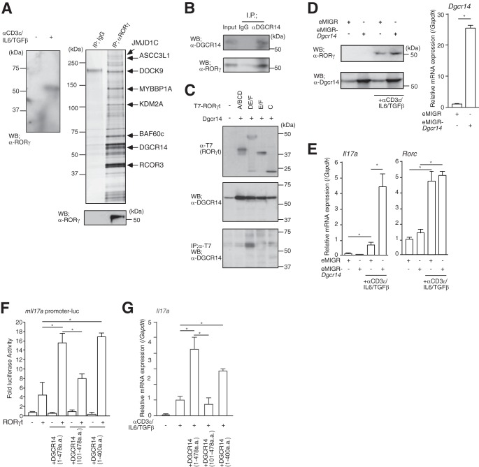 FIG 1