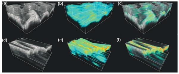 Figure 13