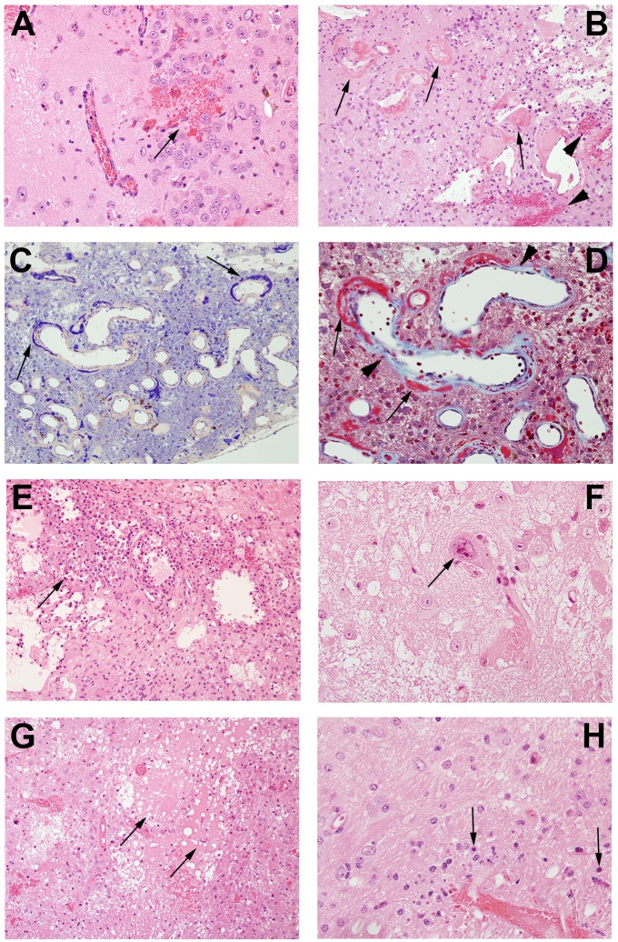 Fig 5