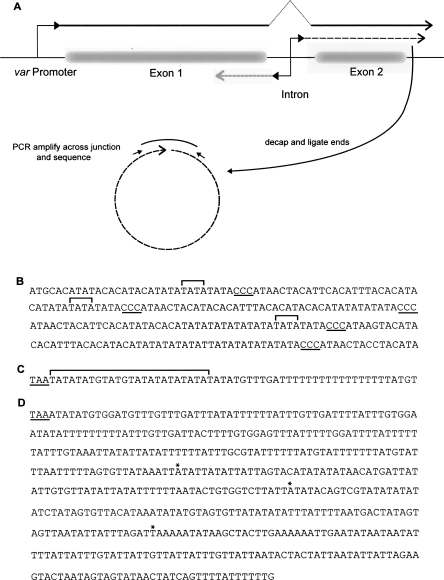 FIGURE 5.