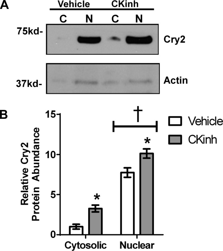 Fig. 9.