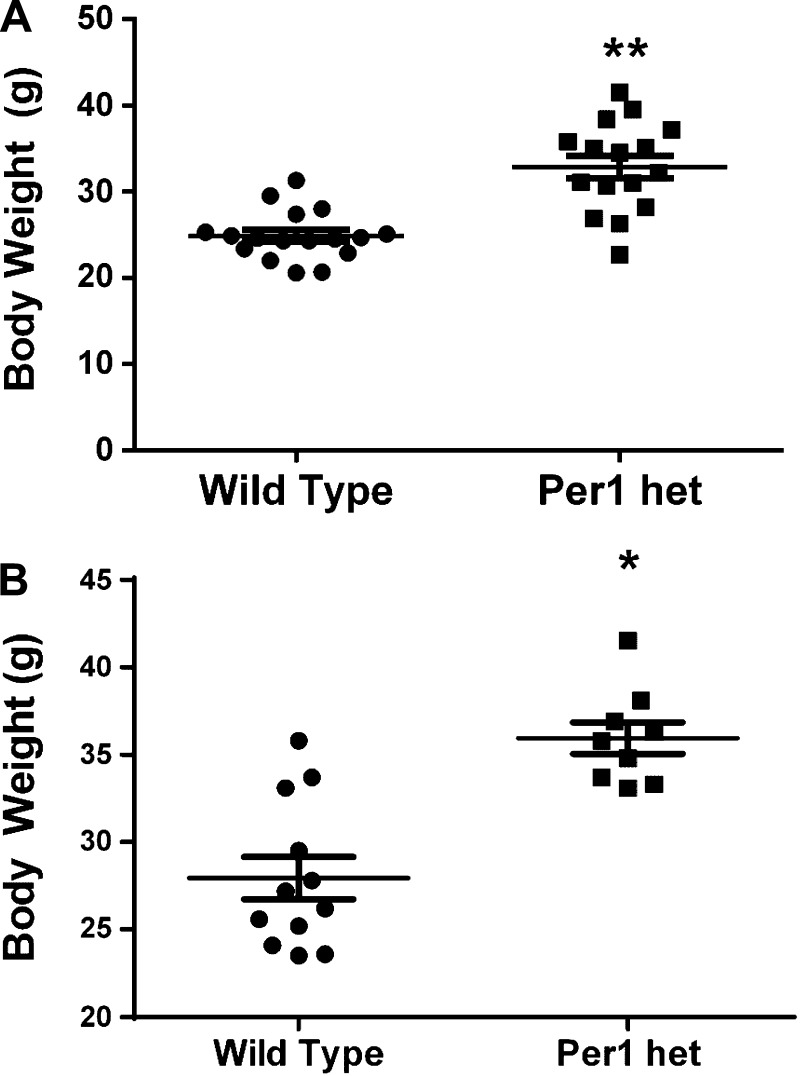 Fig. 14.