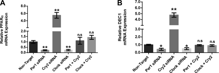 Fig. 13.