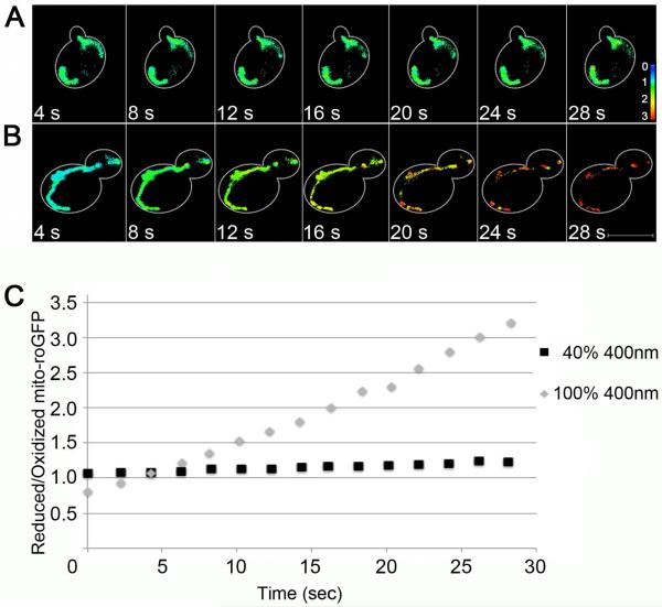 Fig. 4