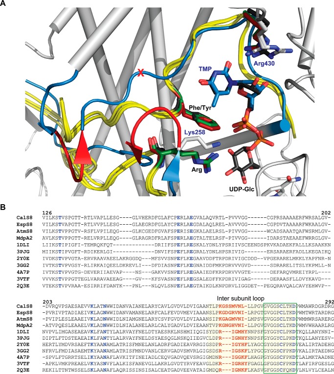 FIGURE 4.