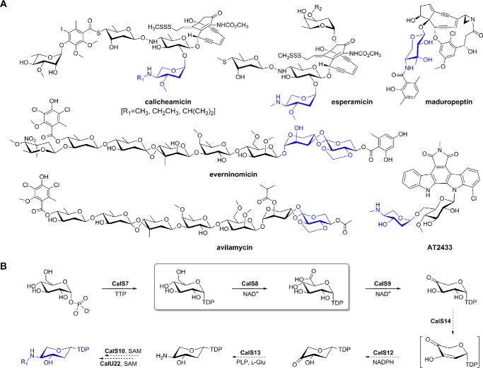 FIGURE 1.