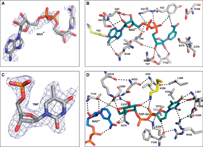 FIGURE 3.