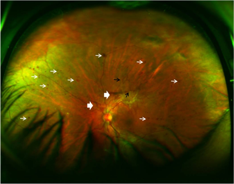 Figure 4.