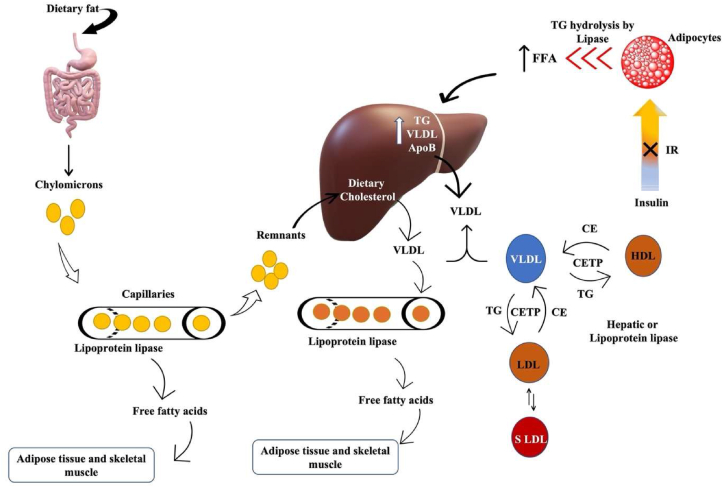 Fig. 2