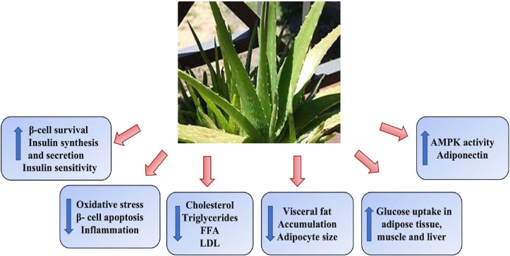 Fig. 3