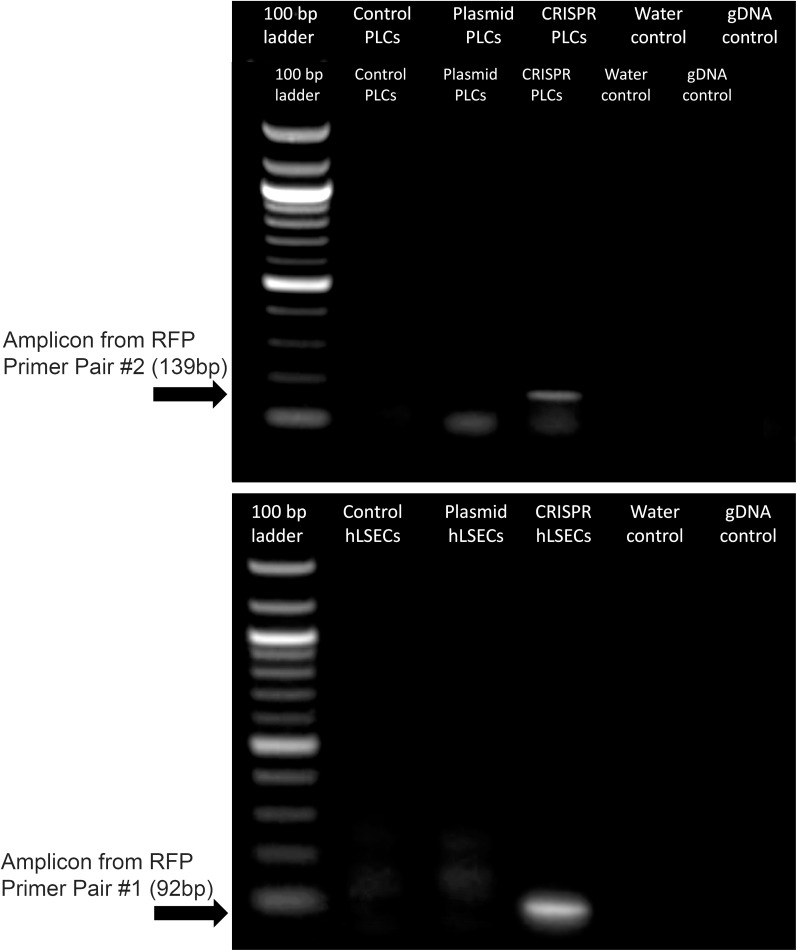 Figure 11