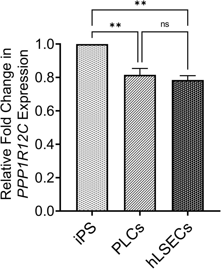 Figure 9