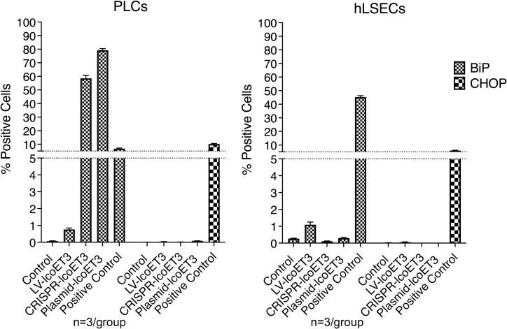 Figure 7