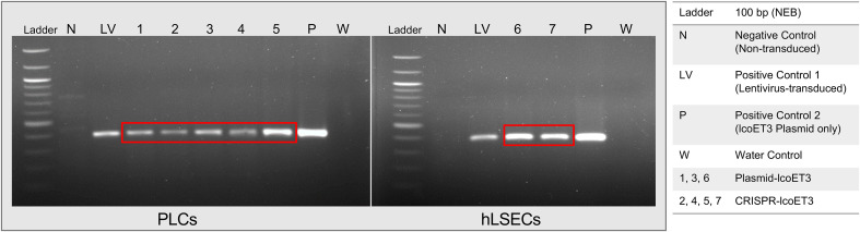 Figure 2