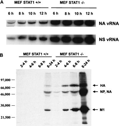 FIG. 5