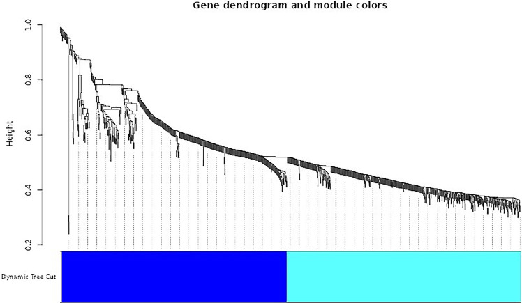 Gradient Boosting-based Classification Of Interactome Hub Genes In 