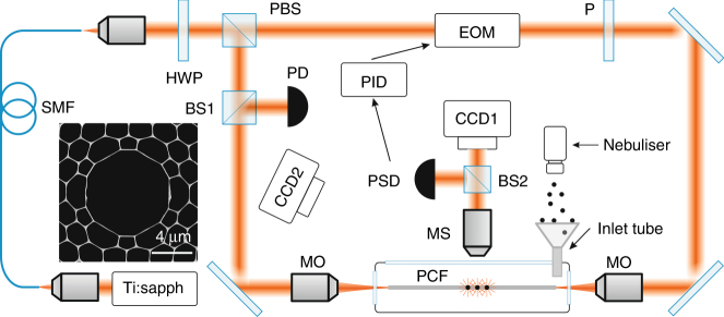 Fig. 1