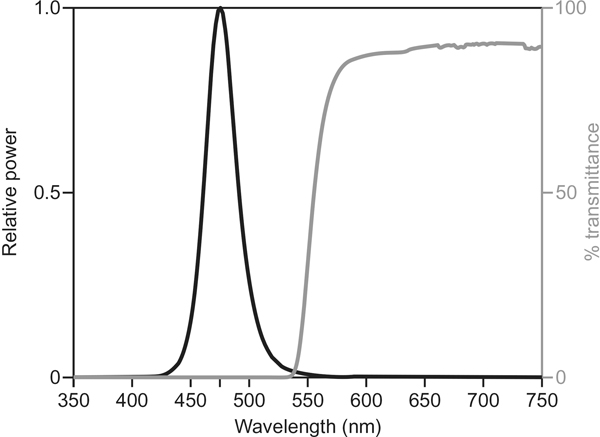 Fig. 1.