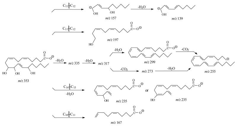 Scheme 4